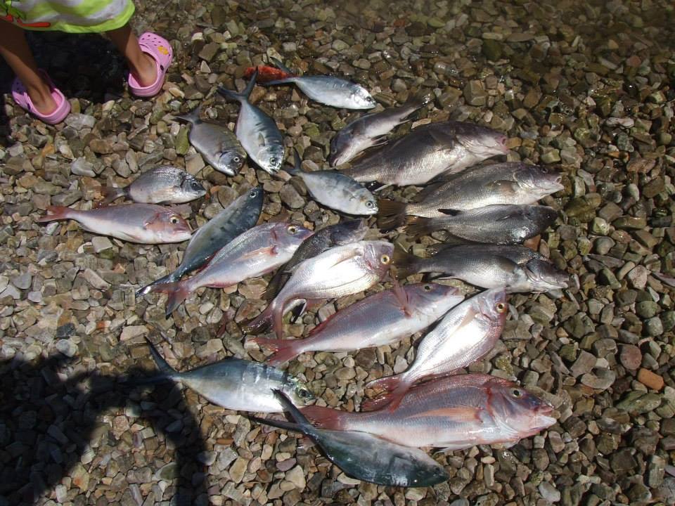 Konoba Ribar Kostajnica Sveže ulovljena riba